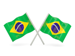 Free Calls to Brazil