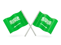 Free Calls to Saudi Arabia